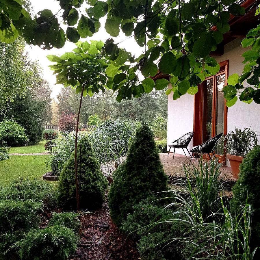 Siedlisko Gruszki Puszcza Bialowieska Narewka Exterior photo