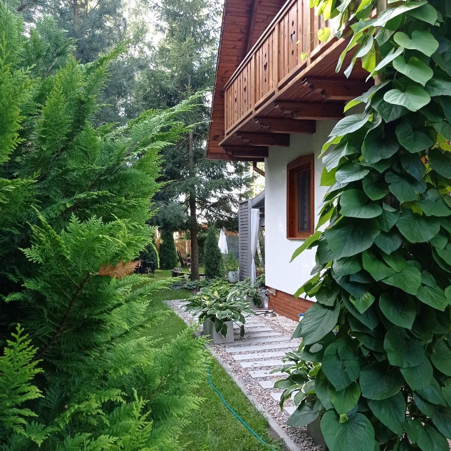 Siedlisko Gruszki Puszcza Bialowieska Narewka Exterior photo